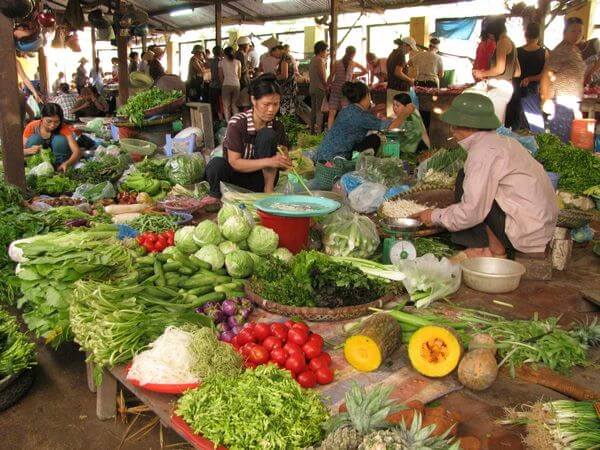Bảo quản thực phẩm khi vận chuyển hai chiều Hà Nội Hải Phòng