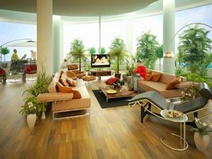 Sắm sửa cây cảnh khi chuyển nhà mới