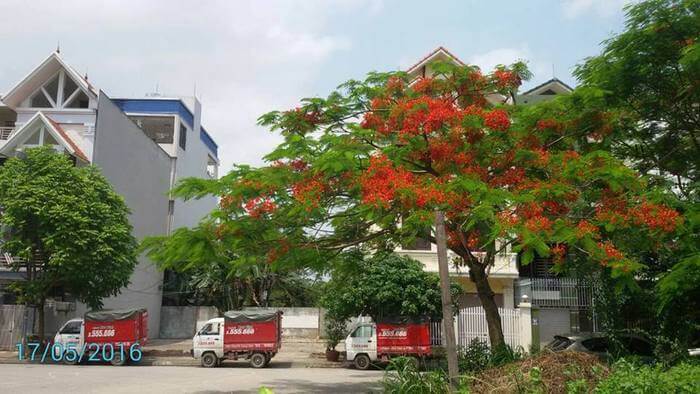 Dịch vụ chuyển nhà trọn gói quận Hải An