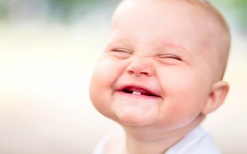 Té ghế với những truyện cười chuyển nhà, dọn nhà