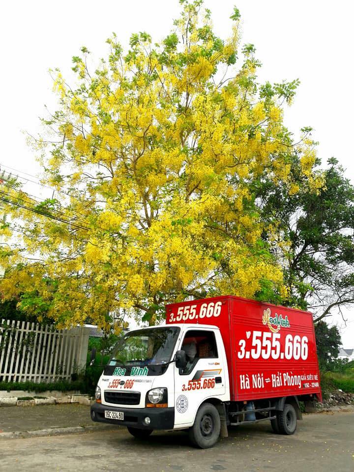 NHỮNG LỢI THẾ CỦA TAXI TẢI VỚI CÁC DỊCH VỤ VẬN CHUYỂN KHÁC